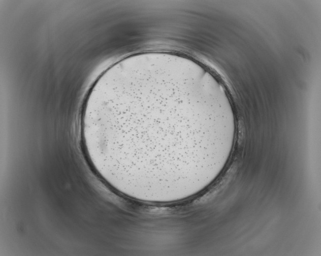 X0000112891467200910021403