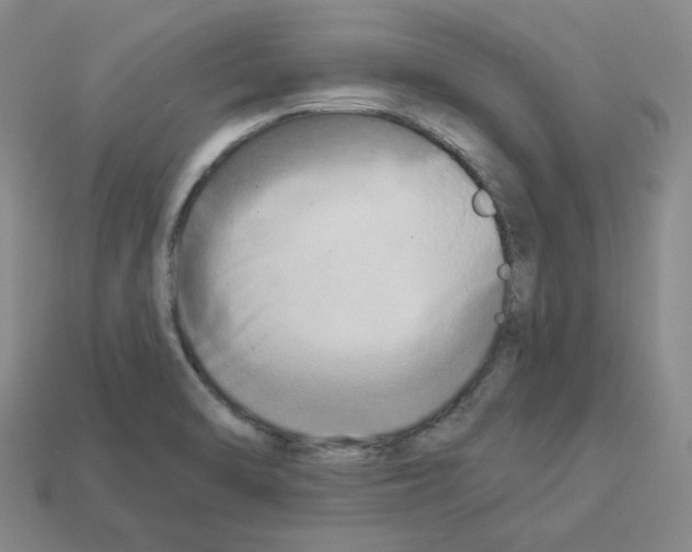 X0000112891470200910021403