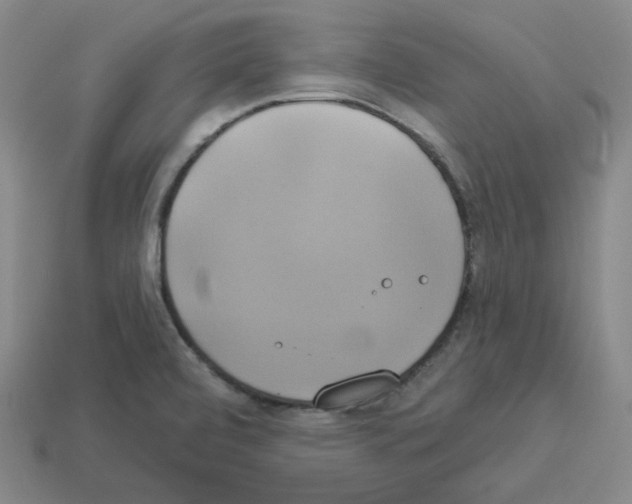 X0000112891472200910021403
