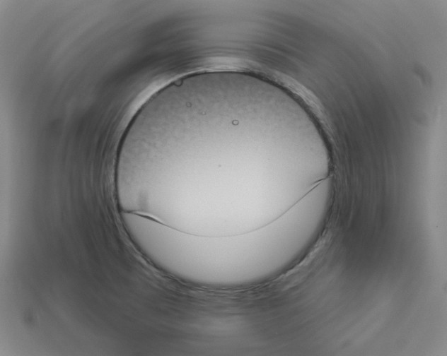 X0000112891473200910021403