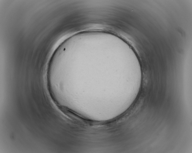 X0000112891475200910021403