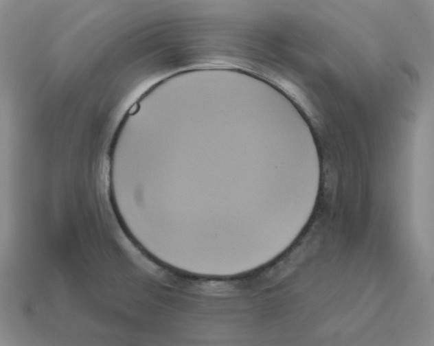 X0000112891476200910021403