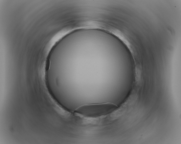 X0000112891477200910021403