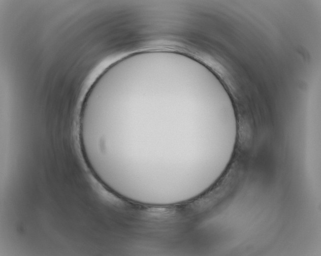 X0000112891478200910021403