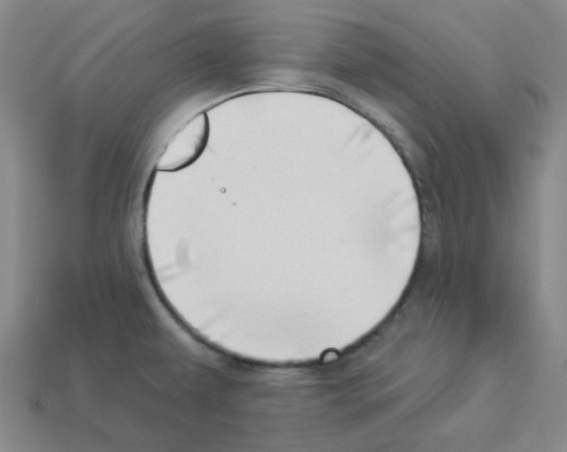 X0000112891479200910021403