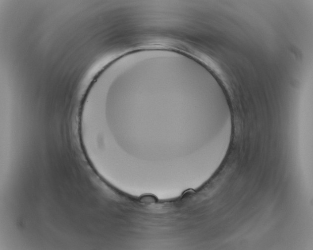 X0000112891480200910021403