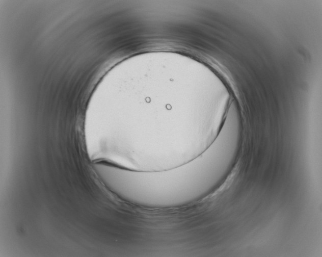 X0000112891481200910021403