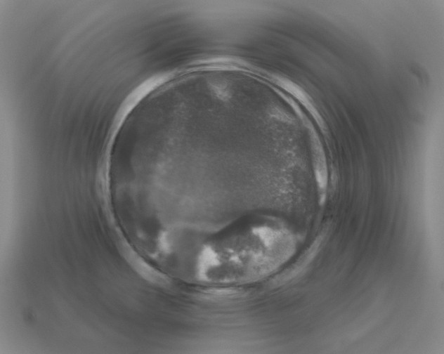 X0000112891482200910021403