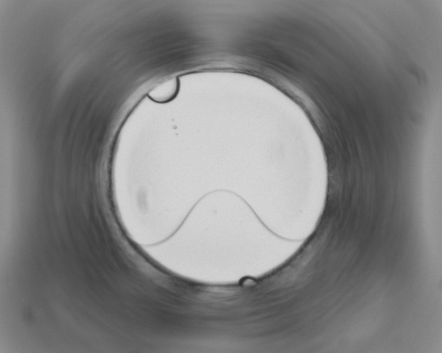 X0000112891483200910021403