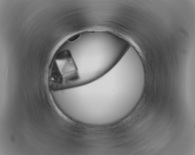 X0000112891484200910021403
