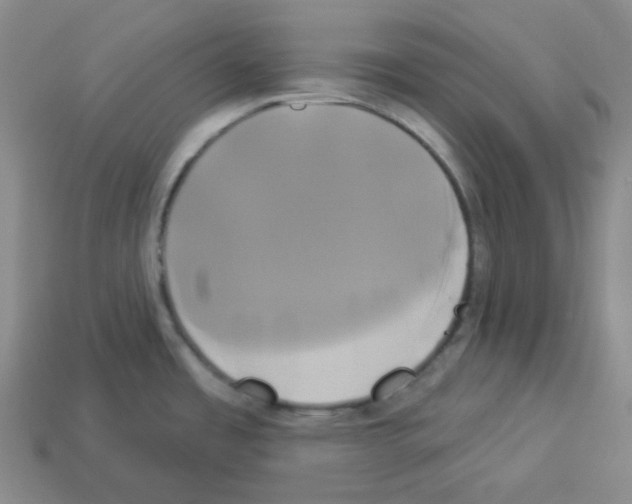 X0000112891485200910021403