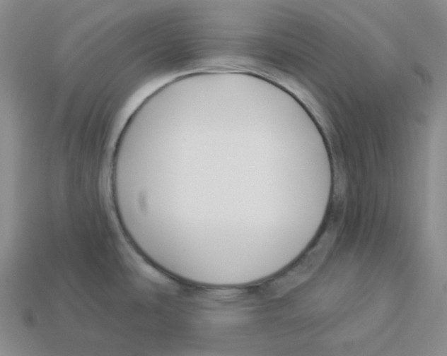 X0000112891486200910021403