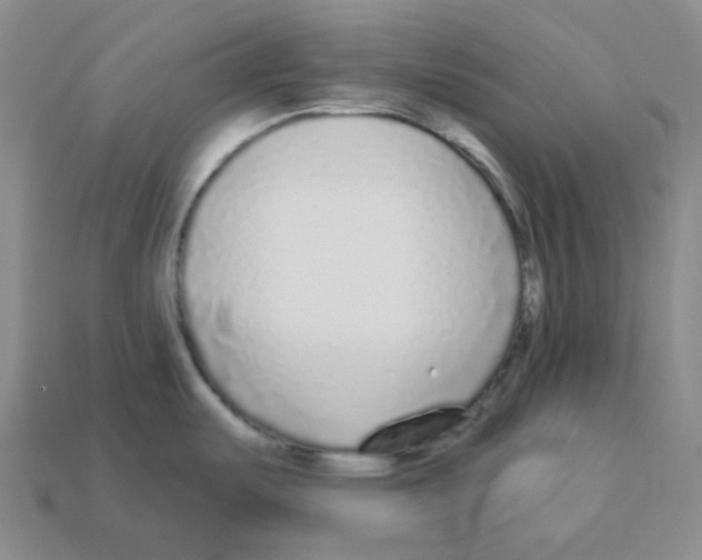 X0000112891487200910021403