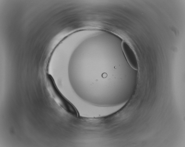 X0000112891488200910021403