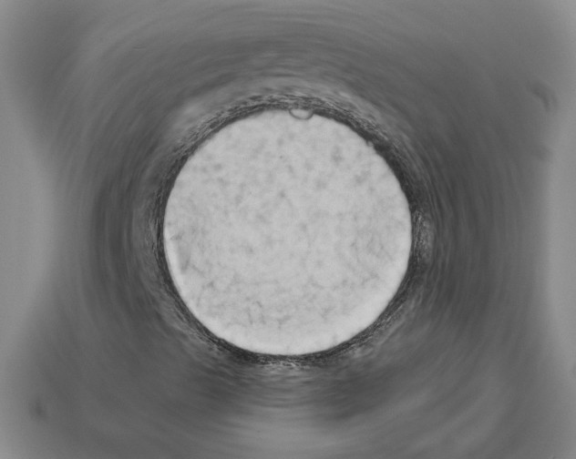 X0000112891489200910021402