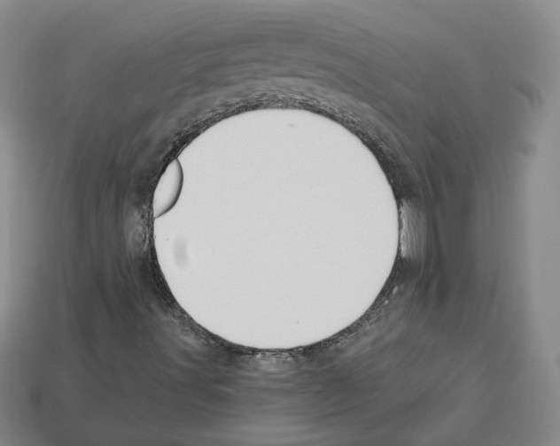 X0000112891491200910021402
