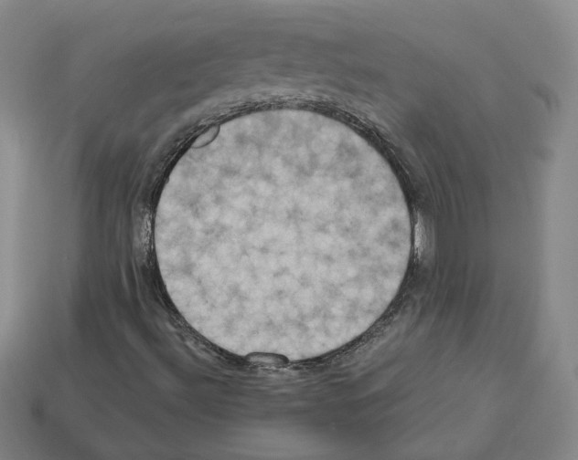 X0000112891492200910021403