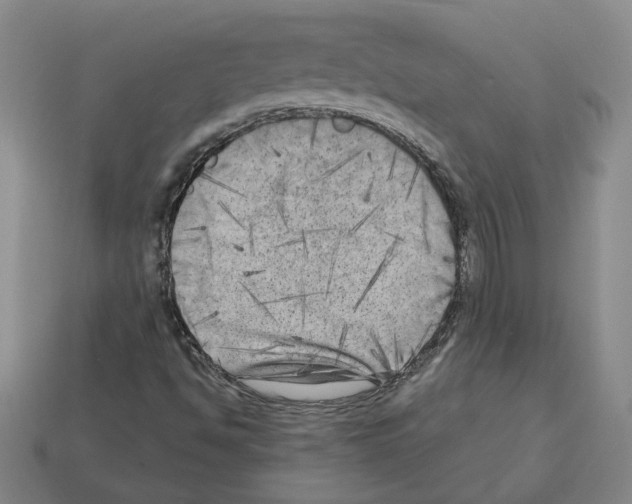 X0000112891494200910021403
