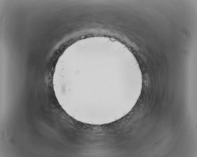 X0000112891495200910021403