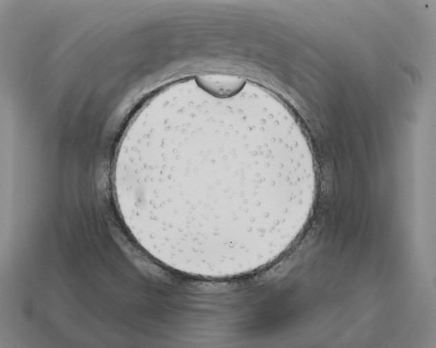 X0000112891499200910021403