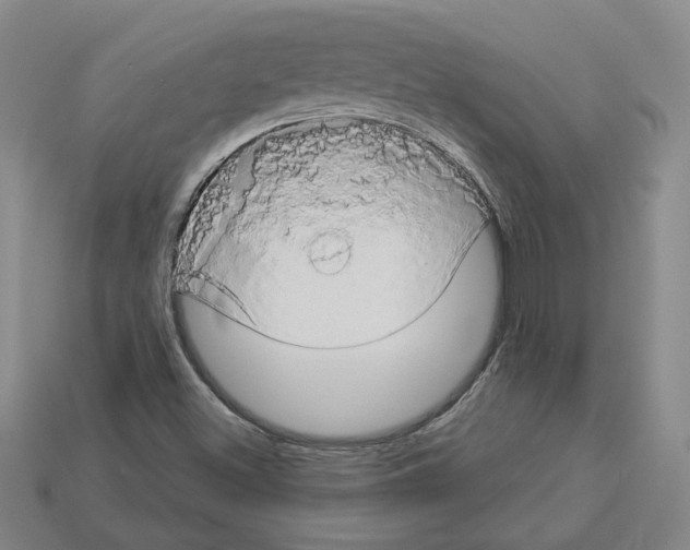 X0000112891500200910021403