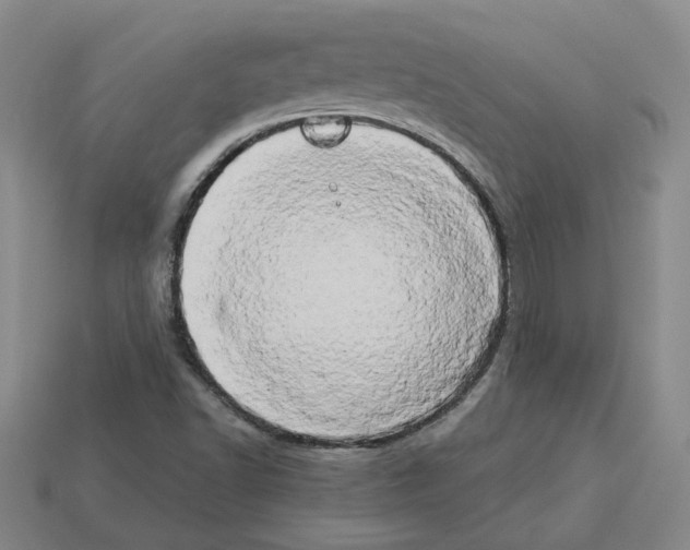 X0000112891502200910021403