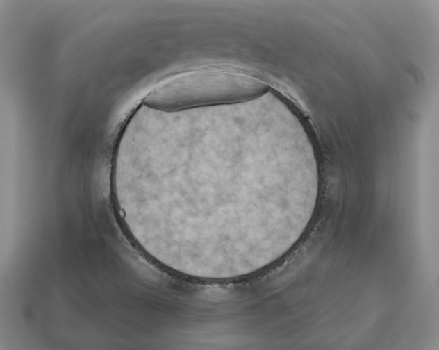 X0000112891504200910021403