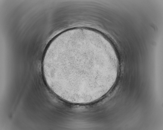 X0000112891505200910021403