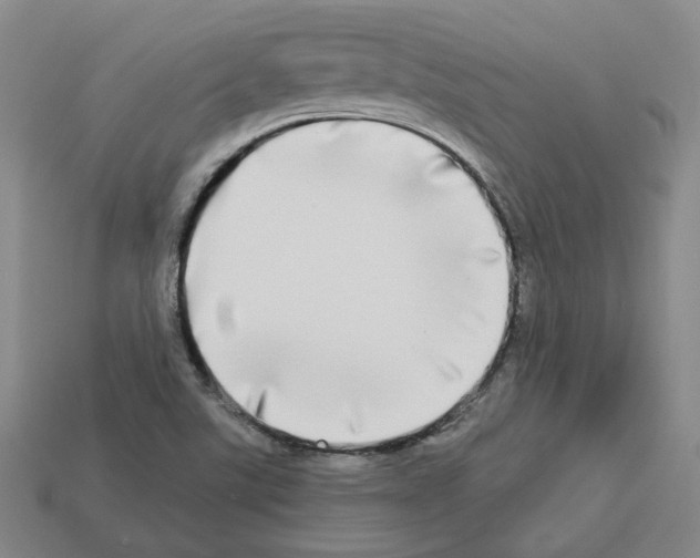 X0000112891507200910021403