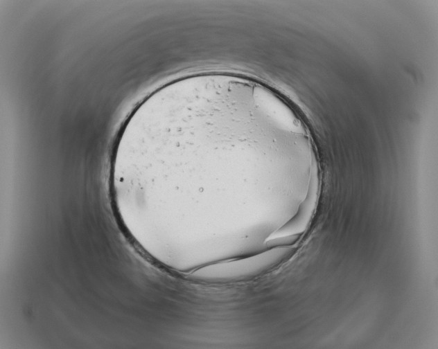 X0000112891508200910021403