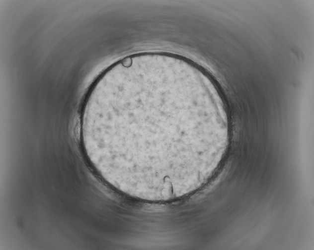 X0000112891509200910021403