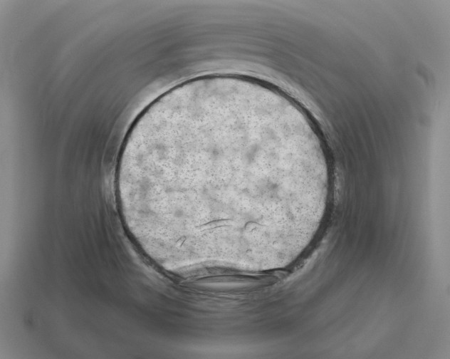 X0000112891513200910021403