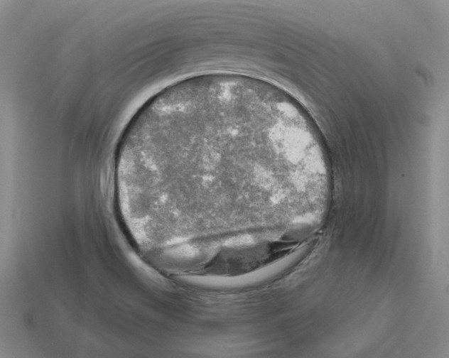 X0000112891515200910021403