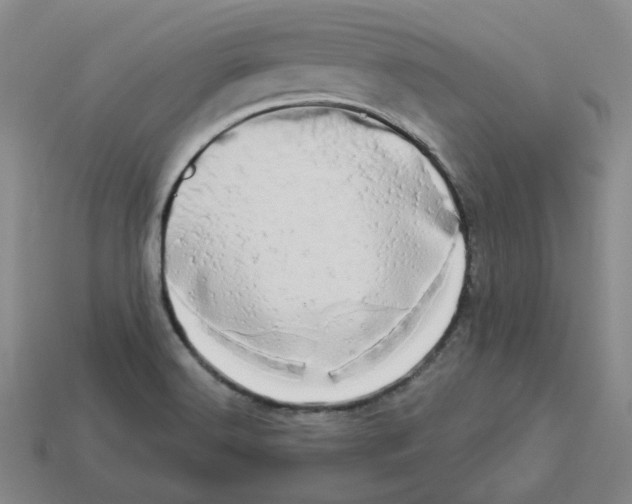 X0000112891516200910021403