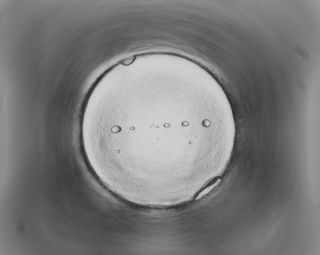 X0000112891518200910021403
