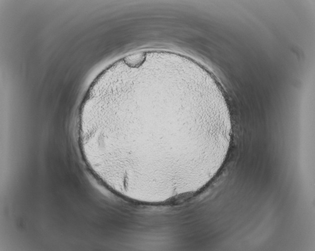 X0000112891519200910021403