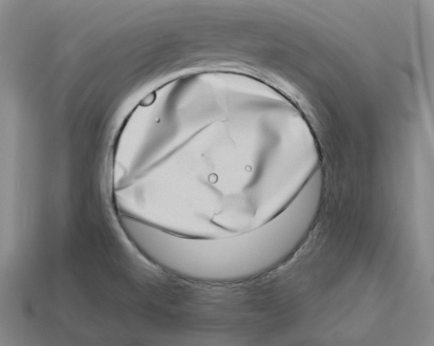 X0000112891520200910021403