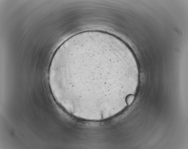 X0000112891521200910021403