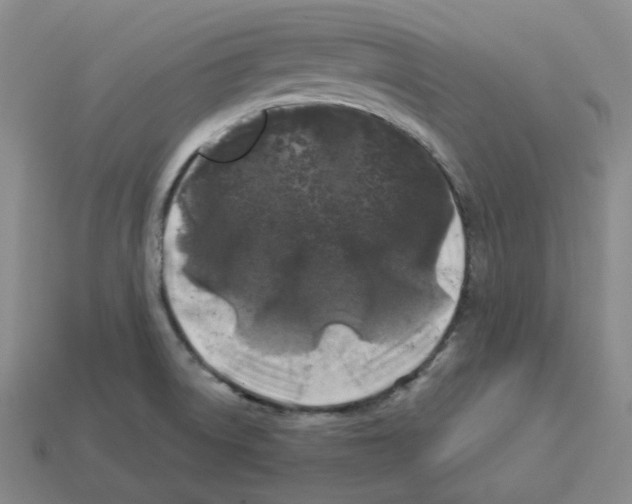 X0000112891522200910021403
