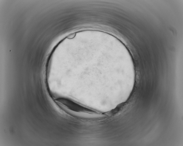 X0000112891523200910021403