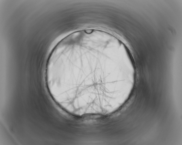 X0000112891525200910021403