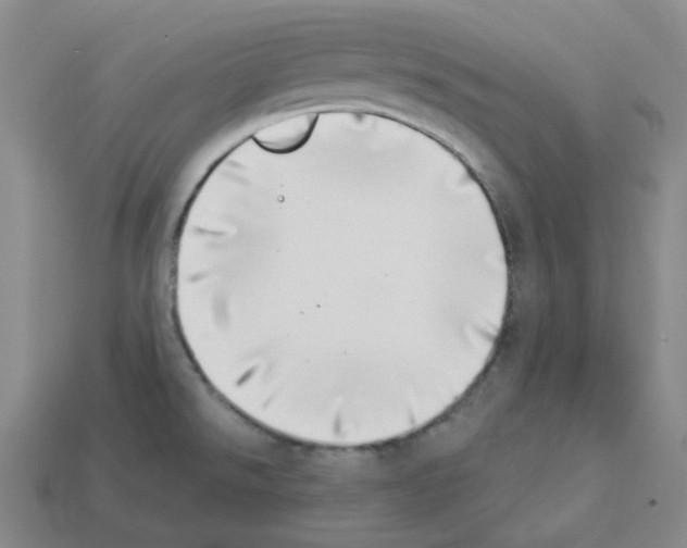 X0000112891526200910021403