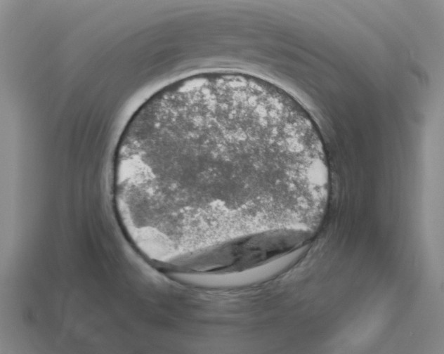 X0000112891527200910021403
