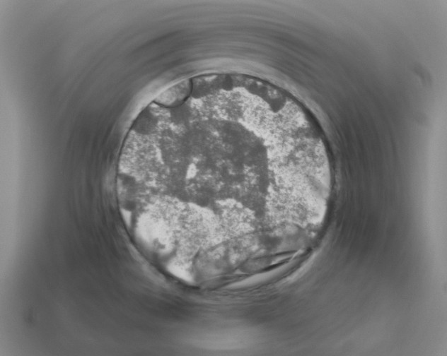 X0000112891529200910021403
