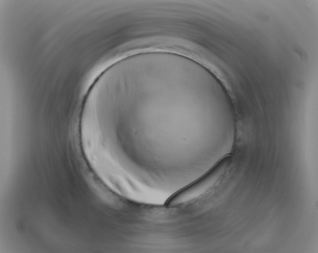 X0000112891530200910021403