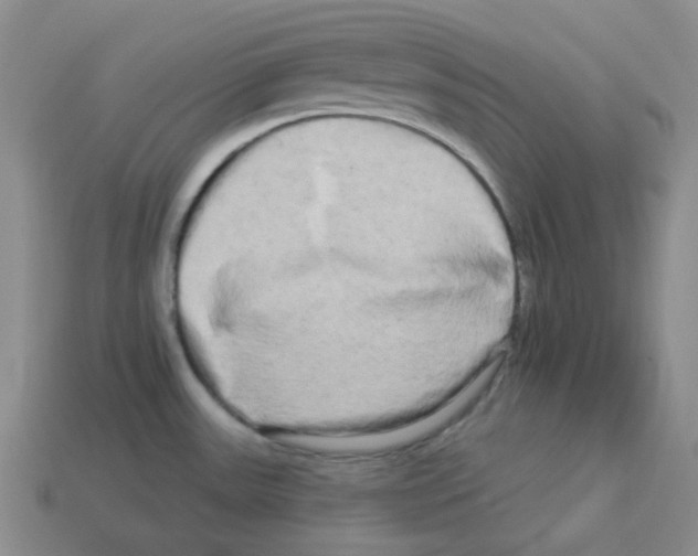 X0000112891531200910021403