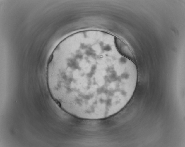 X0000112891532200910021403
