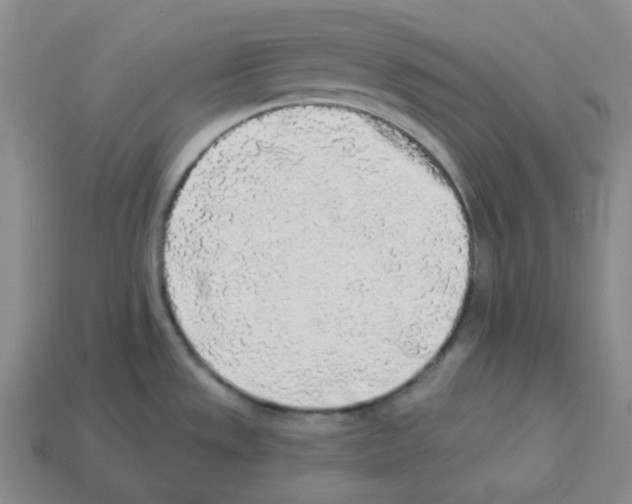 X0000112891533200910021403