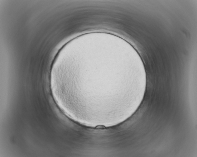 X0000112891534200910021403