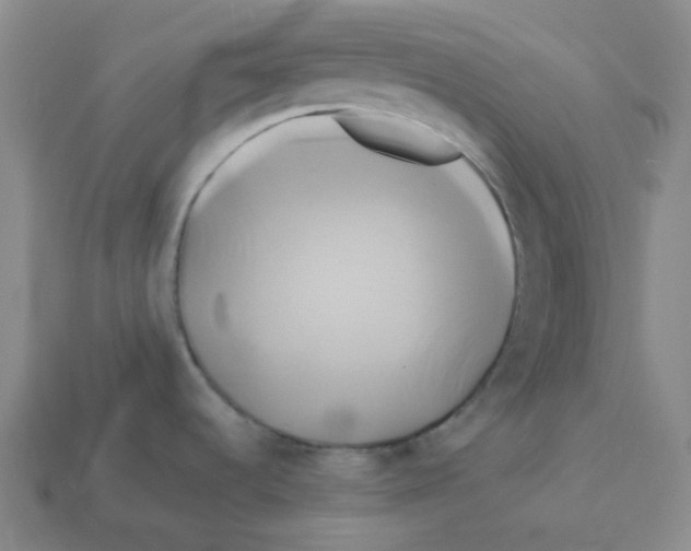 X0000112891536200910021403